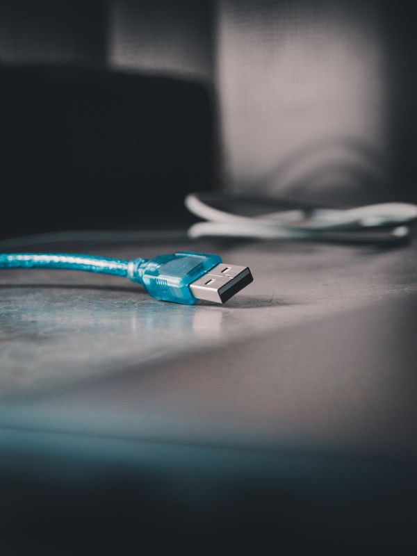 Universal USB Cable (Blue)